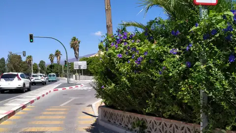 Denuncia recibida Carretera estrecha