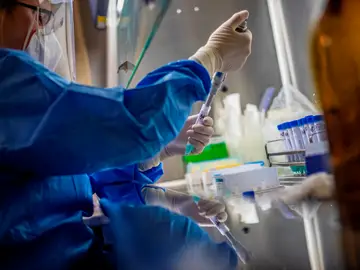 Una persona hace pruebas en un laboratorio Una persona hace pruebas en un laboratorio