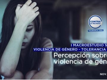 I Macroestudio sobre Violencia de Género-Tolerancia Cero 