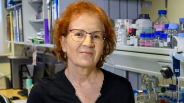 Margarita del Val, viróloga e investigadora del CSIC