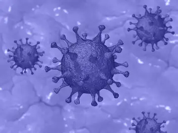 Virus Virus