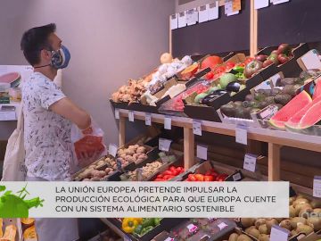 ¿Qué medidas va a adoptar España para aumentar el consumo de alimentos ecológicos? 