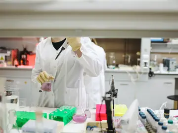 Nueva terapia contra el cáncer Nueva terapia contra el cáncer