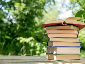 Leer durante el verano Leer durante el verano