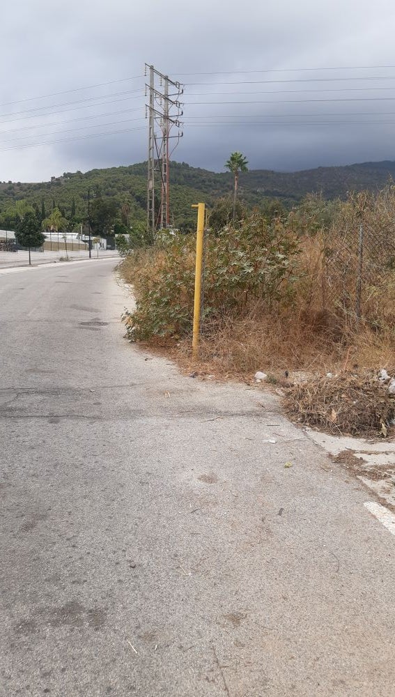 Carretera sin arcén invadida por la vegetación en Málaga