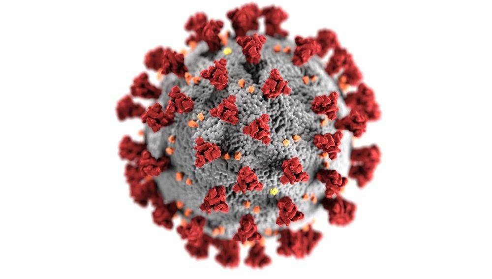 Virus de la Covid-19