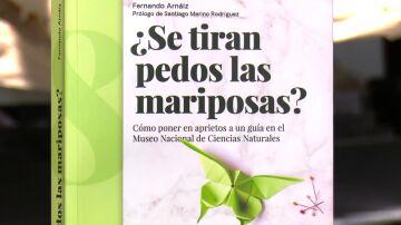 Pedos mariposas Pedos mariposas