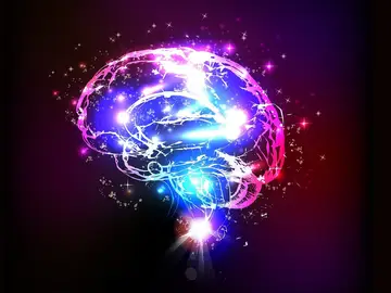 Revelan nuevo tratamiento que mejora el pronóstico de los pacientes de ictus Revelan nuevo tratamiento que mejora el pronóstico de los pacientes de ictus