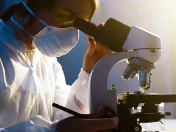 Identifican cómo se puede mitigar la pérdida de capacidad regenerativa muscular en las personas mayores Identifican cómo se puede mitigar la pérdida de capacidad regenerativa muscular en las personas mayores