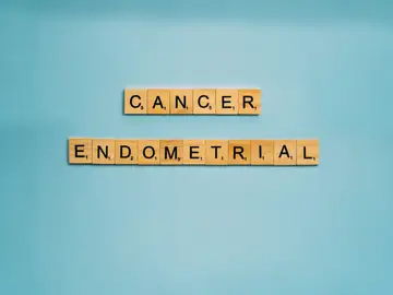 Cáncer de endometrio: un nuevo test no invasivo detecta entre un 90% y 100% de los casos
Cáncer de endometrio: un nuevo test no invasivo detecta entre un 90% y 100% de los casos