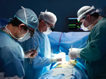 España aportó el 22% del total de donantes de órganos de la Unión Europea en 2021 España aportó el 22% del total de donantes de órganos de la Unión Europea en 2021