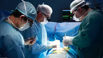 España aportó el 22% del total de donantes de órganos de la Unión Europea en 2021 España aportó el 22% del total de donantes de órganos de la Unión Europea en 2021
