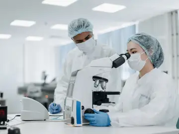 Crean tuberías sin fugas con nanotubos de ADN que podrían ayudar a administrar fármacos a las células Crean tuberías sin fugas con nanotubos de ADN que podrían ayudar a administrar fármacos a las células