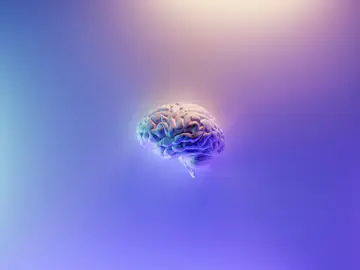 ¿Cómo prevenir un ictus? Hasta el 90% de los casos se podrían evitar con estos hábitos ¿Cómo prevenir un ictus? Hasta el 90% de los casos se podrían evitar con estos hábitos