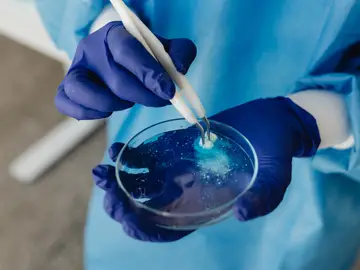Se publican los 18 centros y unidades de investigación de excelencia que recibirán 54 millones de euros del Ministerio de Ciencia Se publican los 18 centros y unidades de investigación de excelencia que recibirán 54 millones de euros del Ministerio de Ciencia