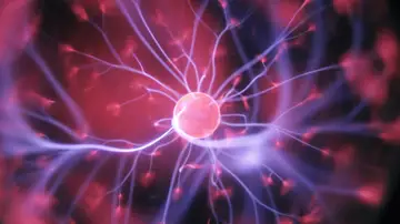 El fármaco contra el Alzheimer lecanemab ralentiza un 27% el deterioro cognitivo y CEAFA se muestra prudente aunque celebra el avance El fármaco contra el Alzheimer lecanemab ralentiza un 27% el deterioro cognitivo y CEAFA se muestra prudente aunque celebra el avance