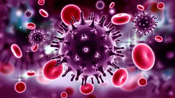 Identificada una caracteristica de los virus que los hace mas propensos a saltar de animales a humanos