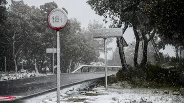 Vista de un carretera de la región mallorquina de Valldemossa cubierta por la nieve caída