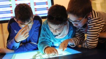 Tres niños con una discapacidad visual consultan un ordenador accesible.