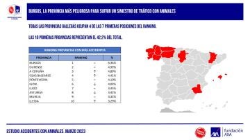 Siniestralidad con animales por provincias