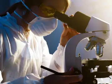La investigación, clave para aumentar la supervivencia en cáncer La investigación, clave para aumentar la supervivencia en cáncer