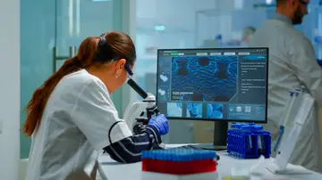 Una investigadora estudiando en su laboratorio. Una investigadora estudiando en su laboratorio.