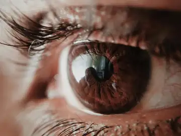 Diagnosticar un ictus mediante el análisis de la retina será posible Diagnosticar un ictus mediante el análisis de la retina será posible