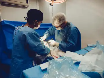 Una terapia pionera en el Gregorio Marañón podría evitar en un futuro el uso de inmunosupresores tras el trasplante Una terapia pionera en el Gregorio Marañón podría evitar en un futuro el uso de inmunosupresores tras el trasplante