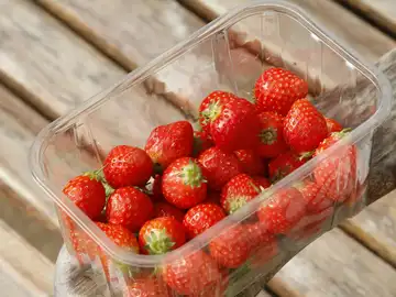 La Eurocámara aprueba normas que prohibirán envases individuales de azúcar, salsas y jabones La Eurocámara aprueba normas que prohibirán envases individuales de azúcar, salsas y jabones