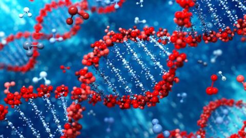 Ilustración de una cadena genética