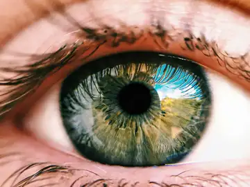 Si el primer trasplante de ojo completo hace un año fue un éxito, ¿por qué el paciente aún no puede ver? Si el primer trasplante de ojo completo hace un año fue un éxito, ¿por qué el paciente aún no puede ver?