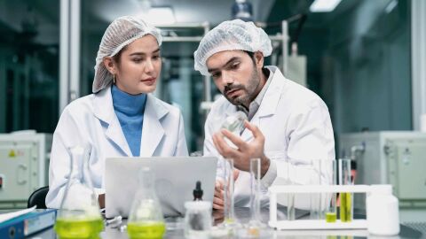 El CSIC, la institución española con más proyectos financiados en las becas Marie Sklodowska Curie