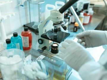 Investigadores del CSIC desvelan cómo el envejecimiento altera las células madre