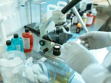 Investigadores del CSIC desvelan cómo el envejecimiento altera las células madre Investigadores del CSIC desvelan cómo el envejecimiento altera las células madre