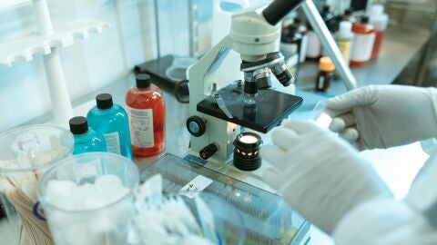 Investigadores del CSIC desvelan cómo el envejecimiento altera las células madre