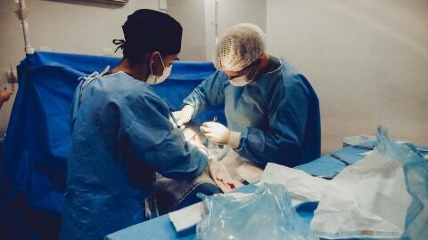 España incrementa un 50 % la donación de órganos en la última década con más de 52.000 trasplantes realizados
