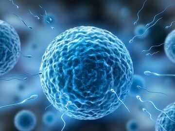 El novedoso estudio sobre el semen humano descubre la variedad de compuestos qu&iacute;micos que afectan a su capacidad de reproducci&oacute;n