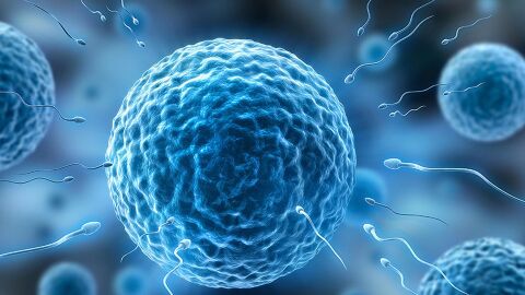 El novedoso estudio sobre el semen humano descubre la variedad de compuestos químicos que afectan a su capacidad de reproducción