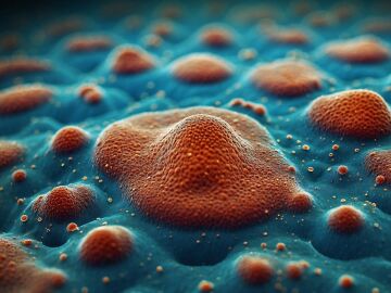 Un macro estudio encuentra una preocupante relaci&oacute;n entre el herpes labial con s&iacute;ntomas propios del alzh&eacute;imer