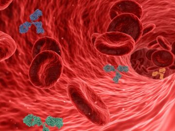 Un estudio revelador halla una v&iacute;a in&eacute;dita para eliminar prote&iacute;nas t&oacute;xicas sin gasto energ&eacute;tico celular