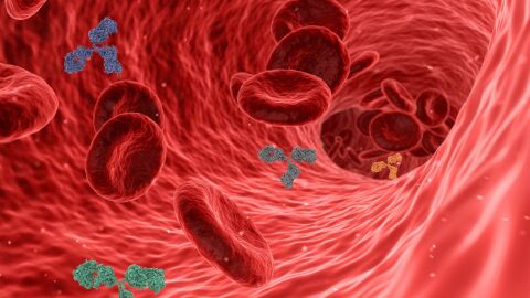 Un estudio revelador halla una vía inédita para eliminar proteínas tóxicas sin gasto energético celular