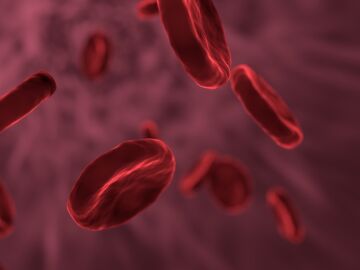 Los anticoagulantes modernos son seguros en pacientes con c&aacute;ncer de pr&oacute;stata; un estudio descarta el riesgo de hemorragia