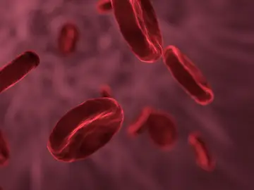 Los anticoagulantes modernos son seguros en pacientes con cáncer de próstata; un estudio descarta el riesgo de hemorragia Los anticoagulantes modernos son seguros en pacientes con cáncer de próstata; un estudio descarta el riesgo de hemorragia