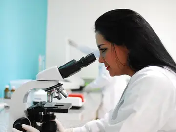Las mujeres con diabetes y grasa abdominal sufren una progresión de la fibrosis hepática más agresiva que los hombres Las mujeres con diabetes y grasa abdominal sufren una progresión de la fibrosis hepática más agresiva que los hombres