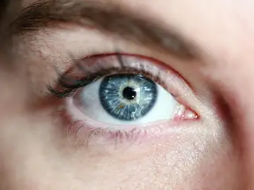 Hallan células inmunes que actúan como equipo de limpieza para regular la presión del ojo y prevenir el glaucoma Hallan células inmunes que actúan como equipo de limpieza para regular la presión del ojo y prevenir el glaucoma