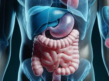 Un estudio científico descubre la vía molecular por la cual el cerebro que apaga el hambre durante una infección Un estudio científico descubre la vía molecular por la cual el cerebro que apaga el hambre durante una infección