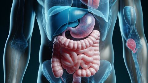 Un estudio científico descubre la vía molecular por la cual el cerebro que apaga el hambre durante una infección