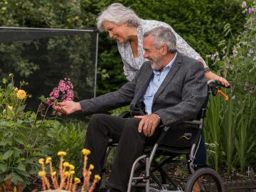 Un revelador estudio descubre que las c&eacute;lulas intestinales podr&iacute;a ser el punto de partida de la esclerosis m&uacute;ltiple