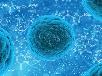Un equipo científico descubre que los virus se comunican entre especies para decidir cuándo atacar a las bacterias debilitadas Un equipo científico descubre que los virus se comunican entre especies para decidir cuándo atacar a las bacterias debilitadas