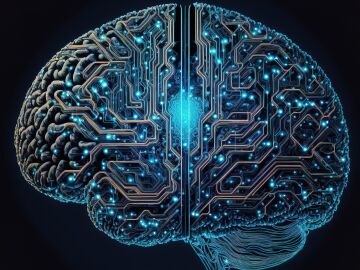 Un estudio internacional revela que el espacio que rodea a las neuronas participa activamente en c&oacute;mo el cerebro procesa y transmite sus se&ntilde;ales qu&iacute;micas